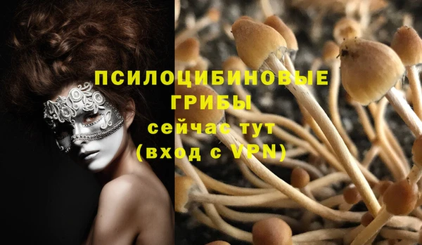 молекула духа Баксан