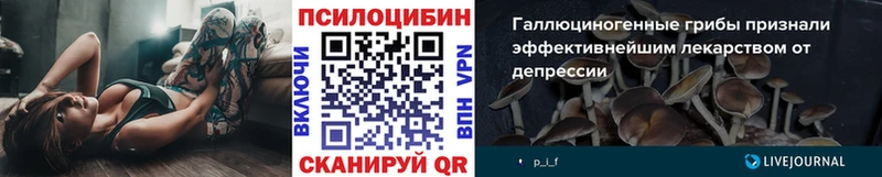 Галлюциногенные грибы мухоморы Барабинск